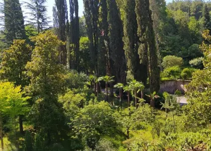 Земельный участок, 15 соток - фото 1