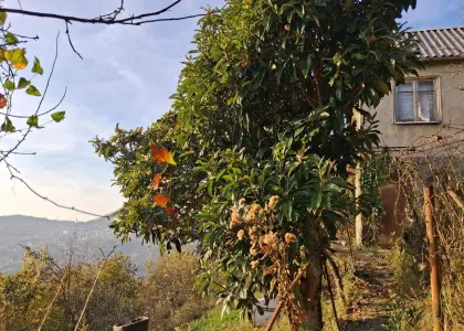 Дом, 53.4 м² - фото 1