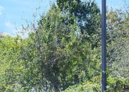 Земельный участок, 19 соток - фото 1