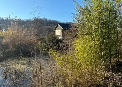 Земельный участок, 20 соток - фото 1