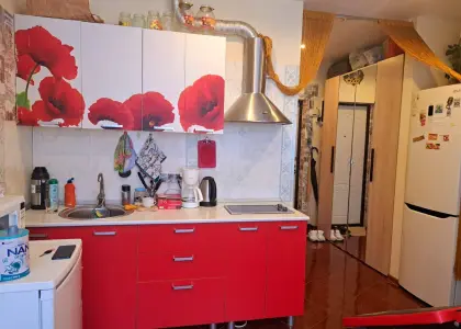 1-комнатная квартира, 25.1 м² - фото 1