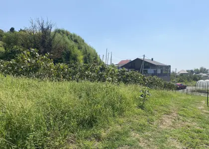 Земельный участок, 5.2 соток - фото 1