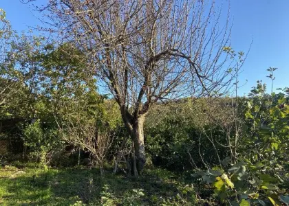 Часть домовладения, 103.8 м² - фото 1