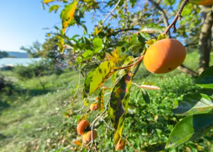 Дом, 200 м² - фото 1