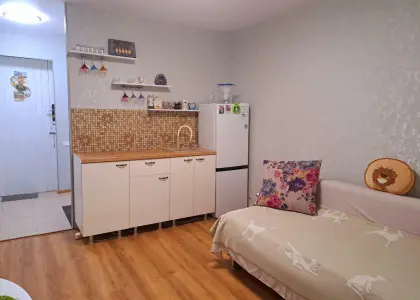 1-комнатная квартира, 23.5 м² - фото 1