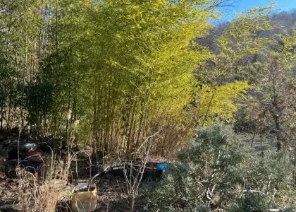 Земельный участок, 10 соток - фото 1