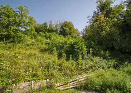 Земельный участок, 20 соток - фото 1