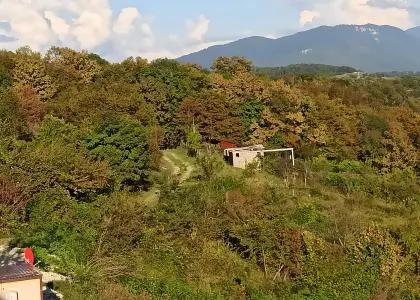 Земельный участок, 24 сотки - фото 1