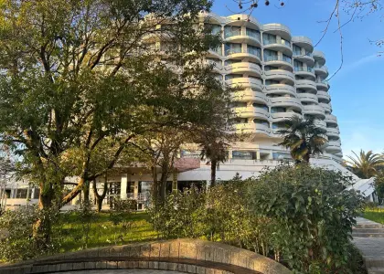 Студия, 24.1 м² - фото 1