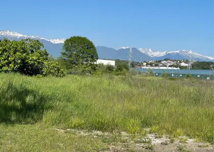 Земельный участок, 10 га - фото 1