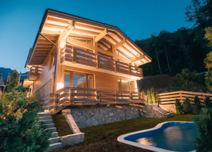 Дом 270 м2; ЗУ 15 сот. - фото 1