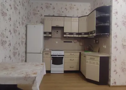 1-комнатная квартира, 29.5 м² - фото 1