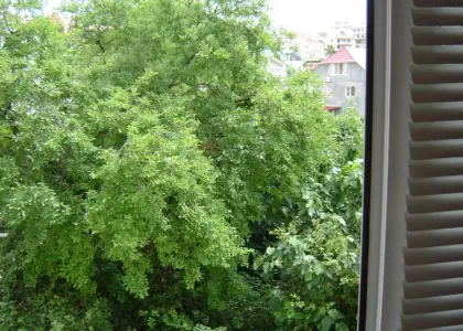 3-комнатная квартира, 81 м² - фото 1