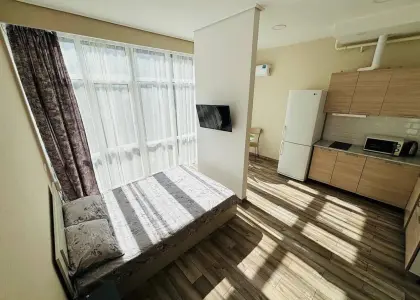 Студия, 28.9 м² - фото 1