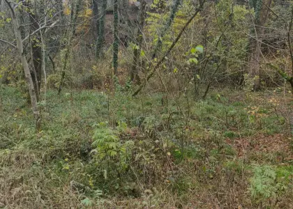 Земельный участок, 19 соток - фото 1