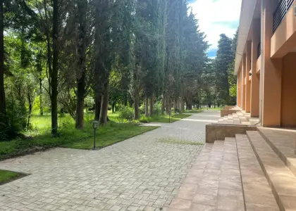 Действующий бизнес! - фото 1