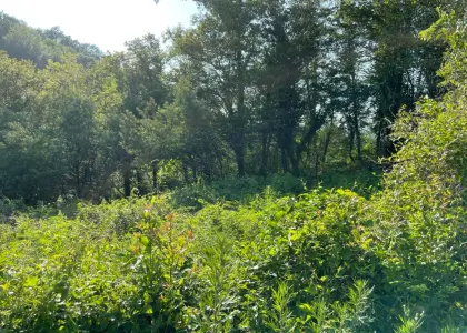 Земельный участок, 8.5 соток - фото 1