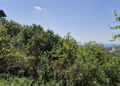 Земельный участок, 5 соток - фото 1