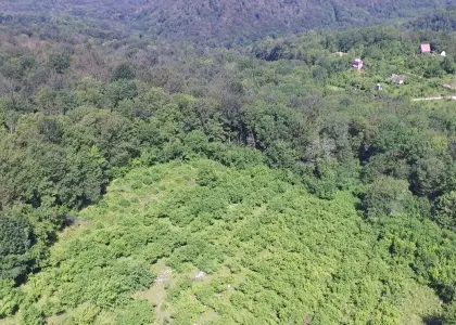 Земельный участок, 58.86 соток - фото 1