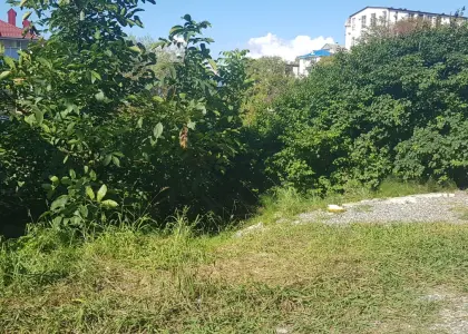 Земельный участок, 5.67 соток - фото 1