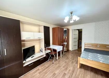 1-комнатная квартира, 28 м² - фото 1