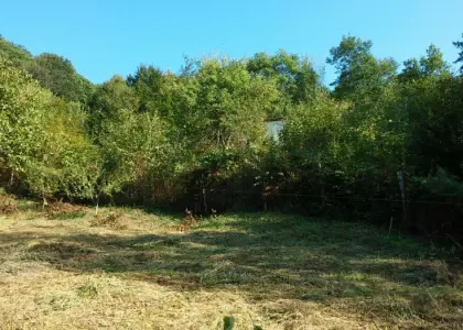 Земельный участок, 6 соток - фото 1