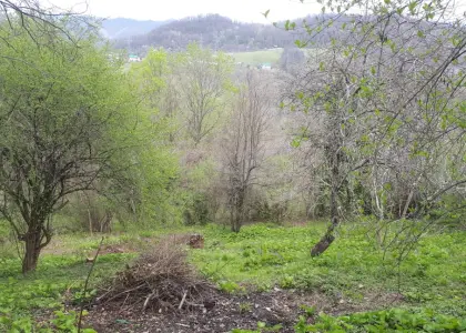 Земельный участок, 5.7 соток - фото 1