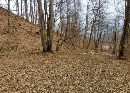 Земельный участок, 20 соток - фото 1