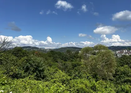 15 соток на Соболевке - фото 1