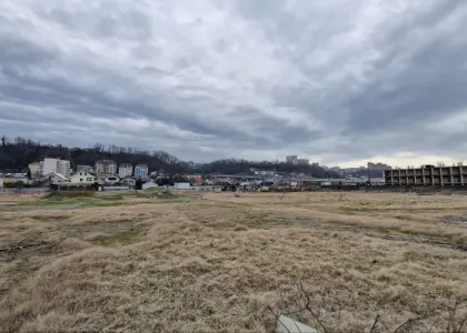 Земельный участок, 440 соток - фото 1