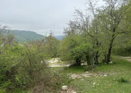 Земельный участок, 26 соток - фото 1