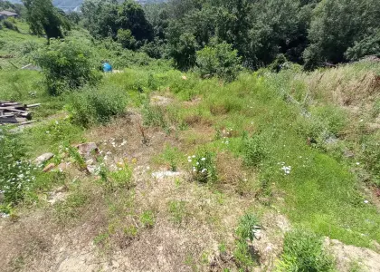 Земельный участок, 4 сотки - фото 1