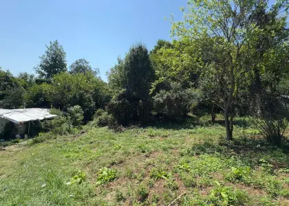 Земельный участок, 6 соток - фото 1