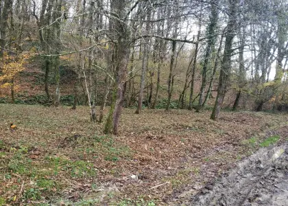 Земельный участок, 4.9 сотки - фото 1