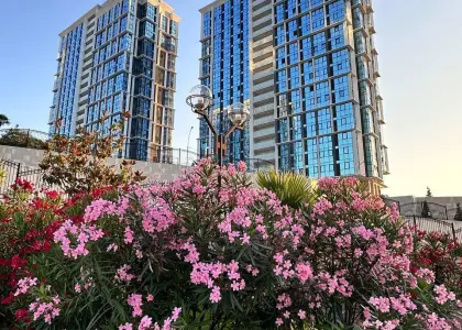 1-комнатная квартира, 35 м² - фото 1