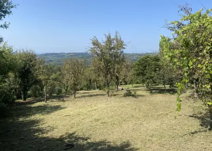 Земельный участок, 5 соток - фото 1