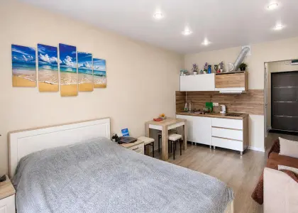 1-комнатная квартира, 30.1 м² - фото 1