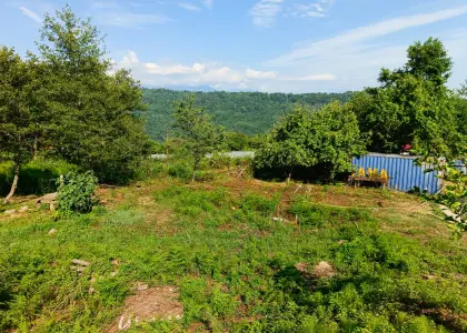 Земельный участок, 4 сотки - фото 1