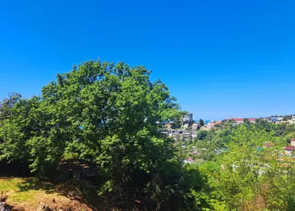 Земельный участок, 12 соток - фото 1