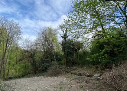 Земельный участок, 16 соток - фото 1