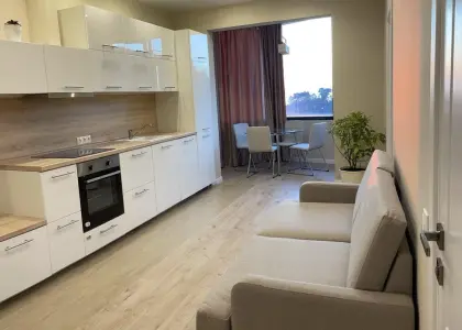 2-комнатная квартира, 66.3 м² - фото 1