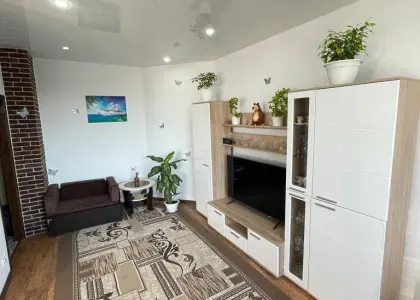 Трехкомнатная квартира на Светлане - фото 1