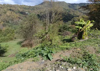 Земельный участок, 4.35 сотки - фото 1