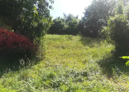 Участок в Адлерском районе - фото 1