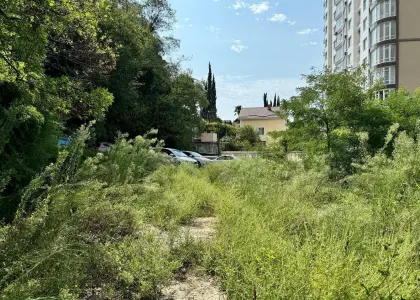 Земельный участок, 25 соток - фото 1