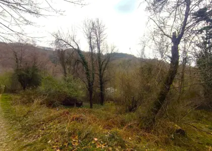 Земельный участок, 6 соток - фото 1