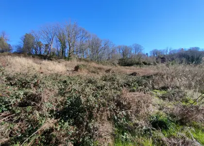 Земельный участок, 35 соток - фото 1