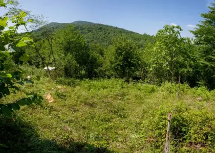 Земельный участок, 70 соток - фото 1