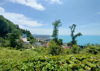 Участок с панорамой моря - фото 1