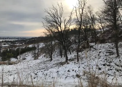 Участок с видом на море! - фото 1